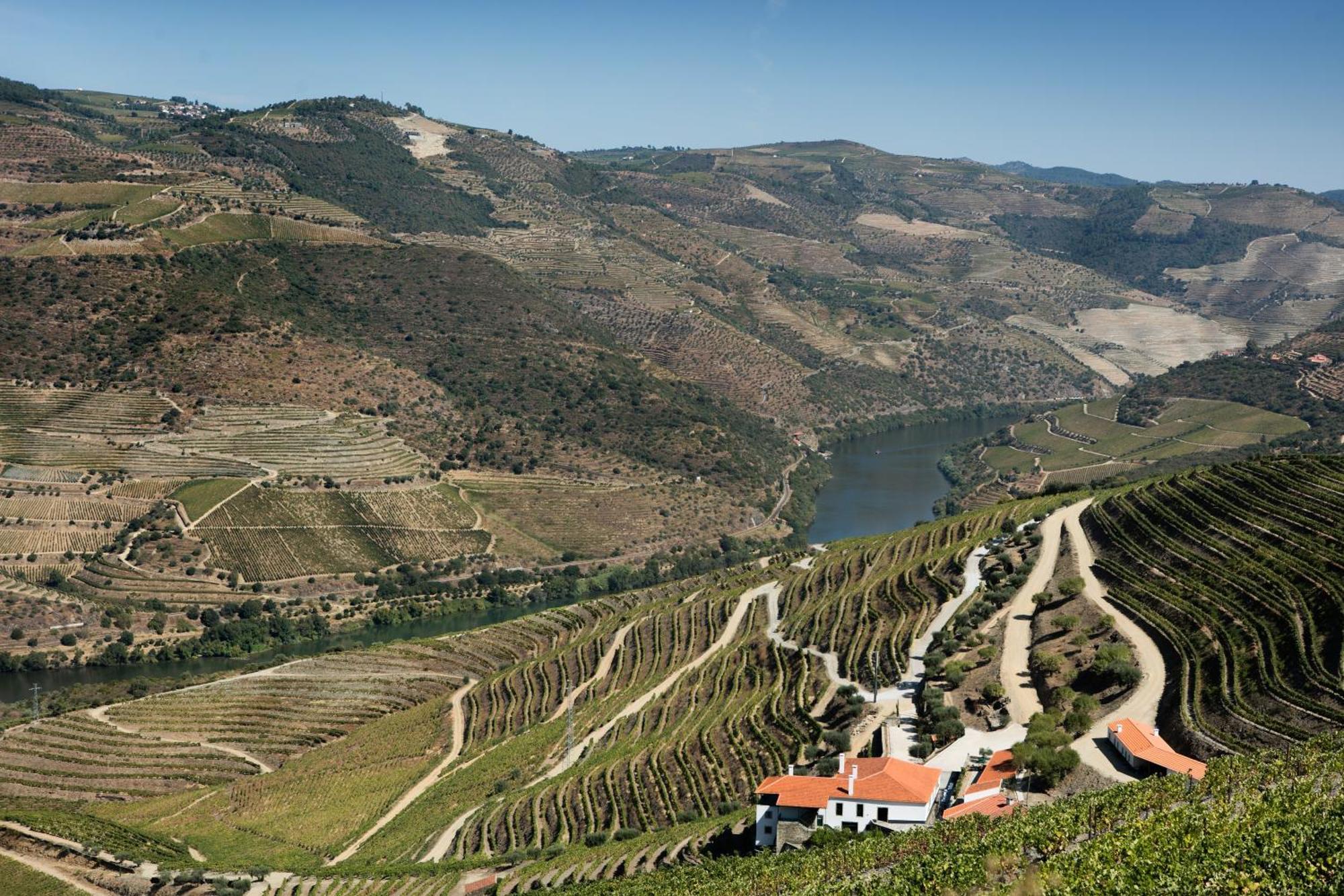 Quinta Da Gricha Hotel Ervedosa do Douro Exterior foto