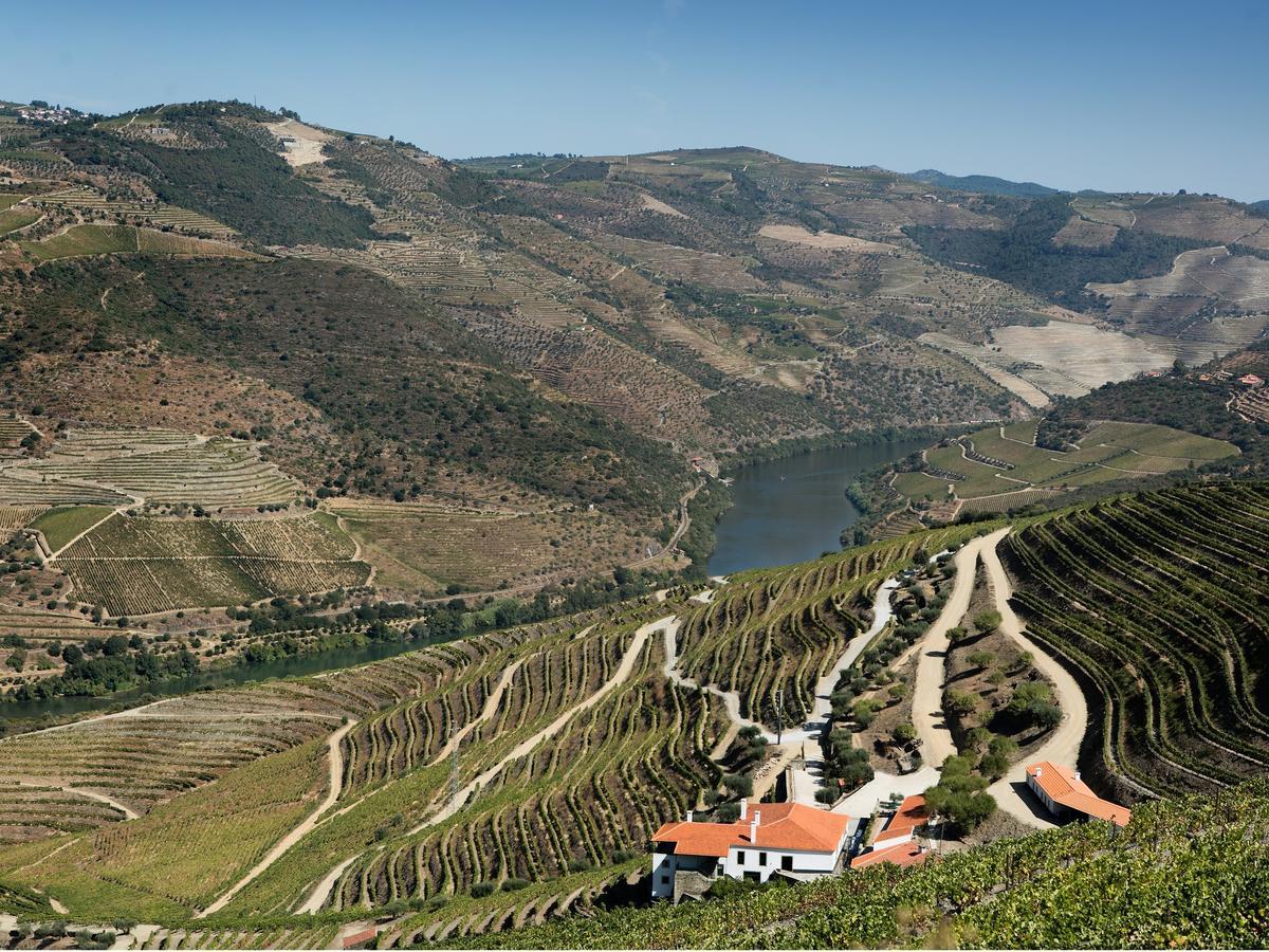 Quinta Da Gricha Hotel Ervedosa do Douro Exterior foto