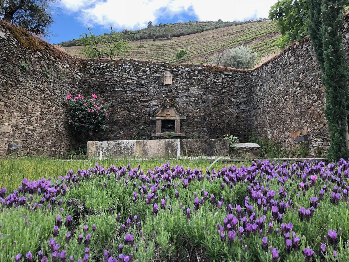 Quinta Da Gricha Hotel Ervedosa do Douro Exterior foto